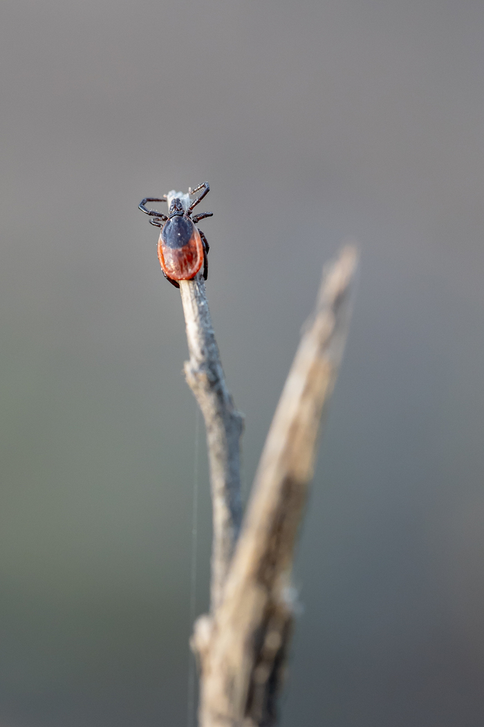 �� �������� ������ �� �������, ������� ��� ����� � ����� ������ ���� ������. � ���� �� ��� ��� ���� ������ 2-3-4��.