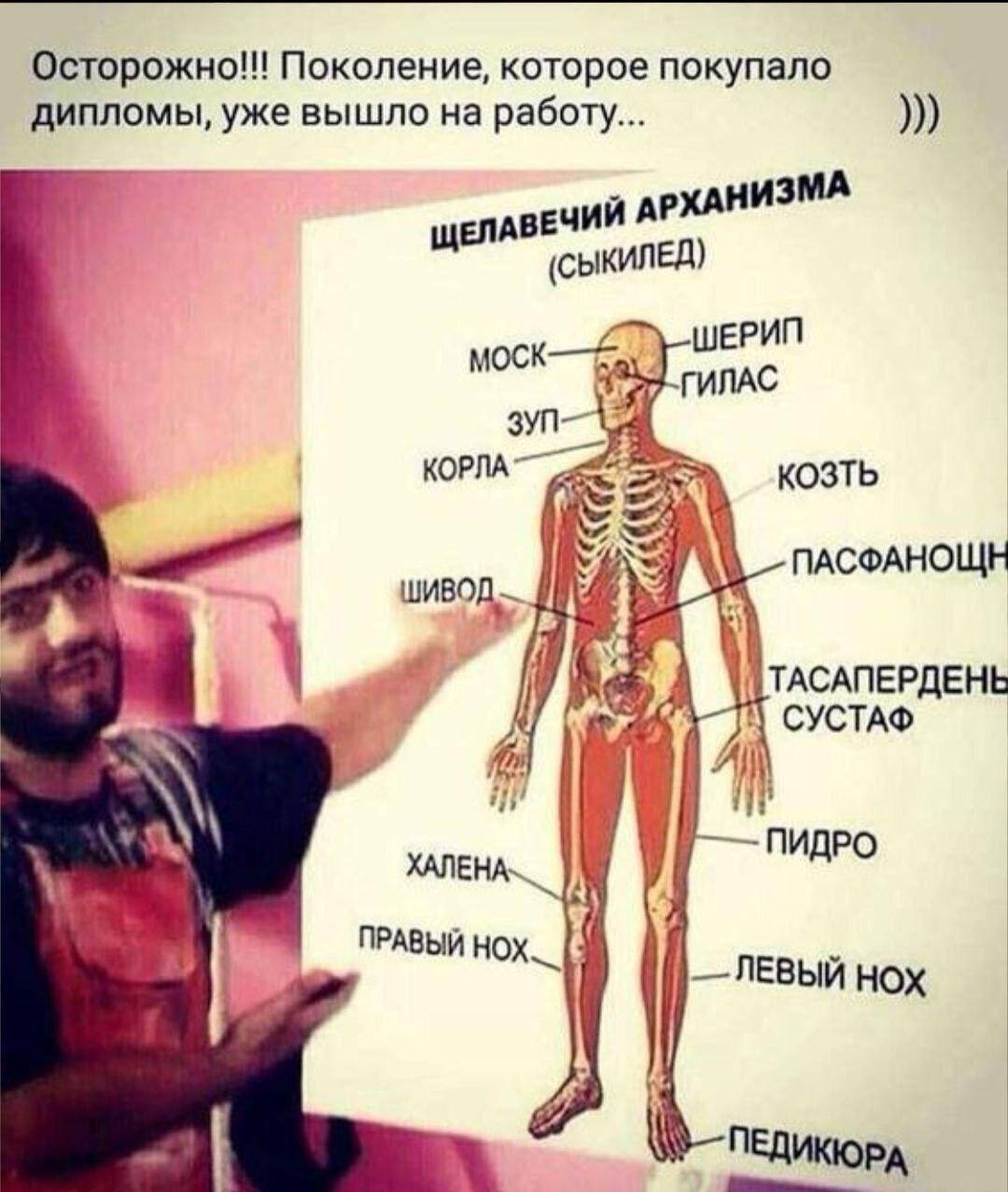 pruz246o_lg.jpg