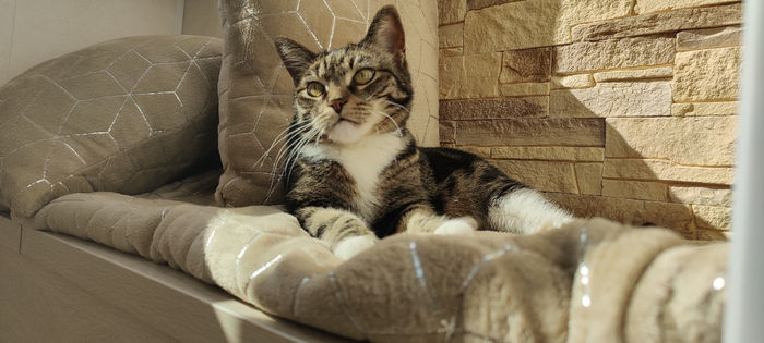 ��������� �����