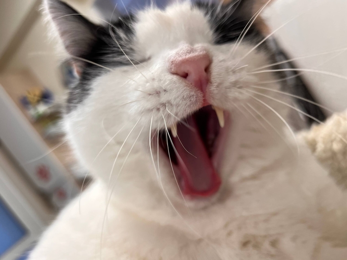 ������ �����