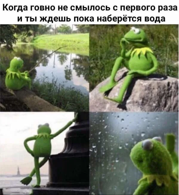 yfoz2l2c.webp