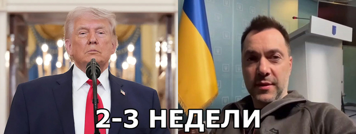 Две-три недели