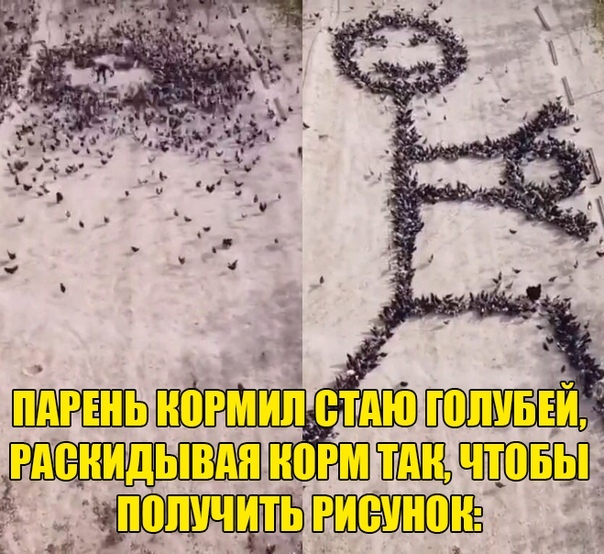 �� ��������� �����