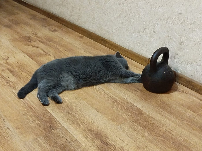 � ���� �����