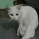 ����� ����� ������ ���� �����������