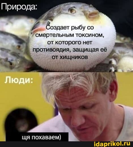 ����� �� ���� ������ "�����" �� ������������ ���: �����-��������� �� �������� "�������" � ���� �������� ��� ���������