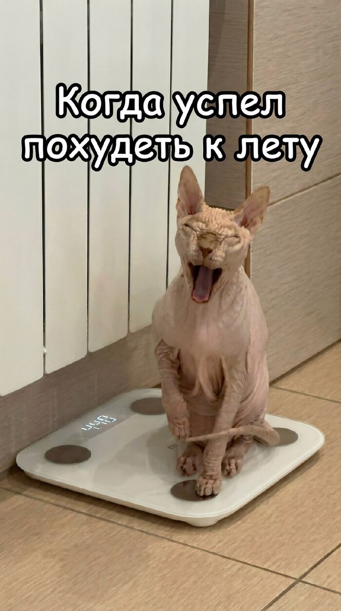 Ну хоть кто-то успел)