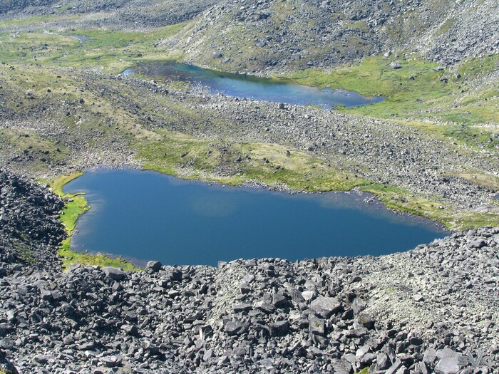 ���� � ��������� ������ ���� �����-��������