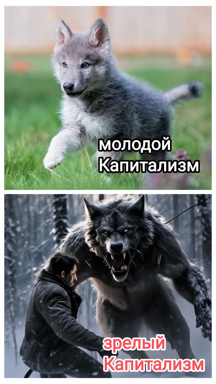 Фазы Капитализма