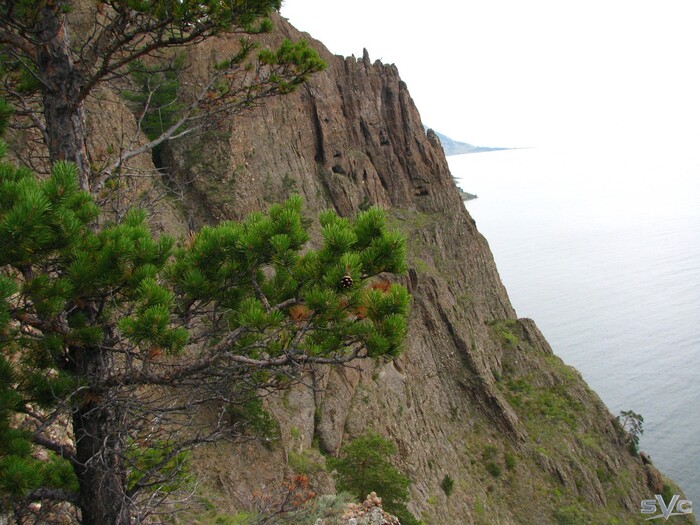 � ��� ������� ���������, ��� �� ��� ?