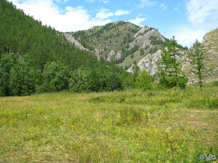 ��� �� ����� ���� ������� ���������� ��������� � ���� ������� ��� � ����������� ����� ��������� � �������