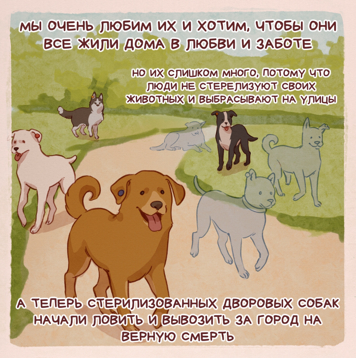 Разумеется, домашняя собака выживает сразу на улице среди диких. И они основной костяк стай...