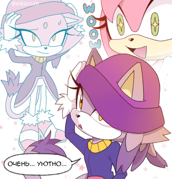Блейз и Эми Blaze the Cat and Amy Rose