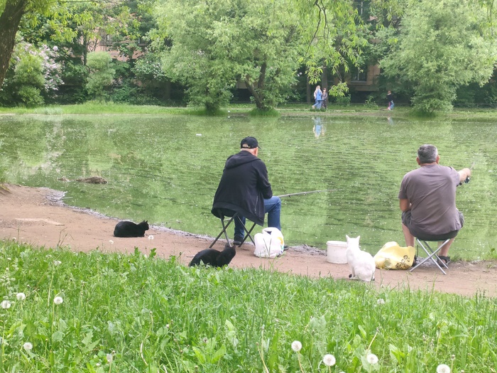 ��� ���� �� ������ ����� ����� (� �����), �� � ������� �� ��