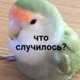 ������ ������������ user9182828