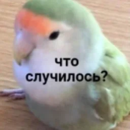 user9182828