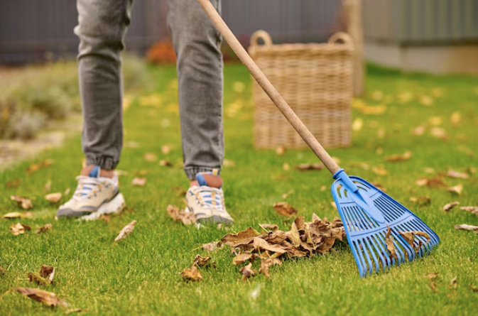 ����������� ����� �������������� ��������.