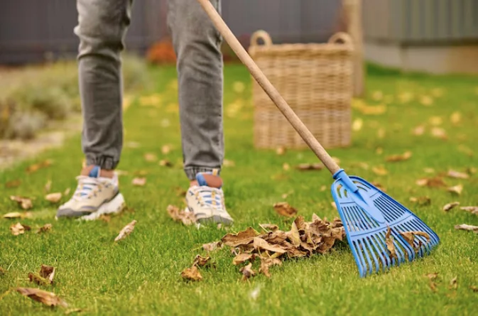 Top 10 Garden Tools: Opening the 2026 Season - Dacha, Garden tools, Garden, Gardening, Growing, Land plot, Plant growing, Longpost