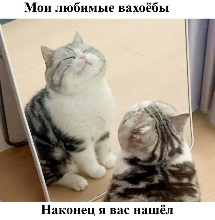 Любимые вахоёбы! Есть вопрос