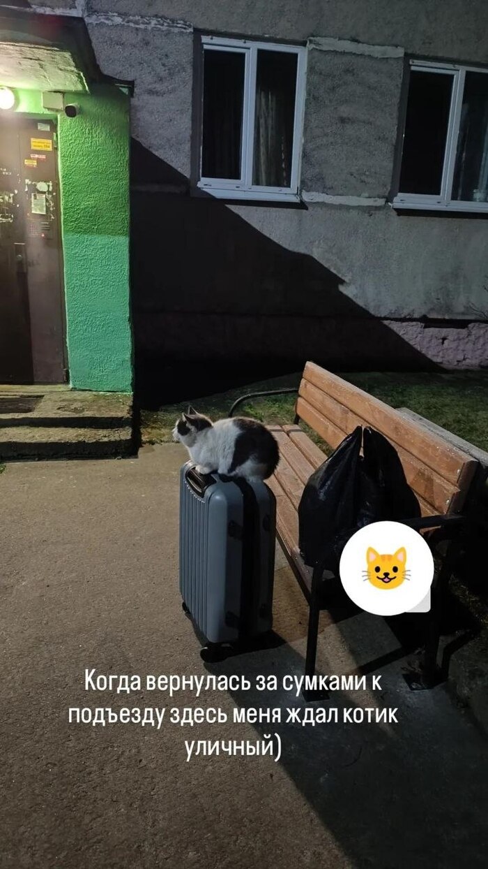 �������� ��� �������� ��� �������