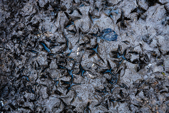 ���� ��� ����