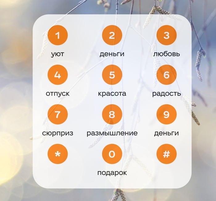 Опять с моей шизой разрабатываем приложение