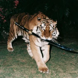 TamaTamara