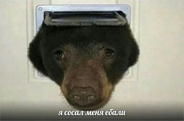 SOSI ��� ��� ����� ������? ������ ���������?