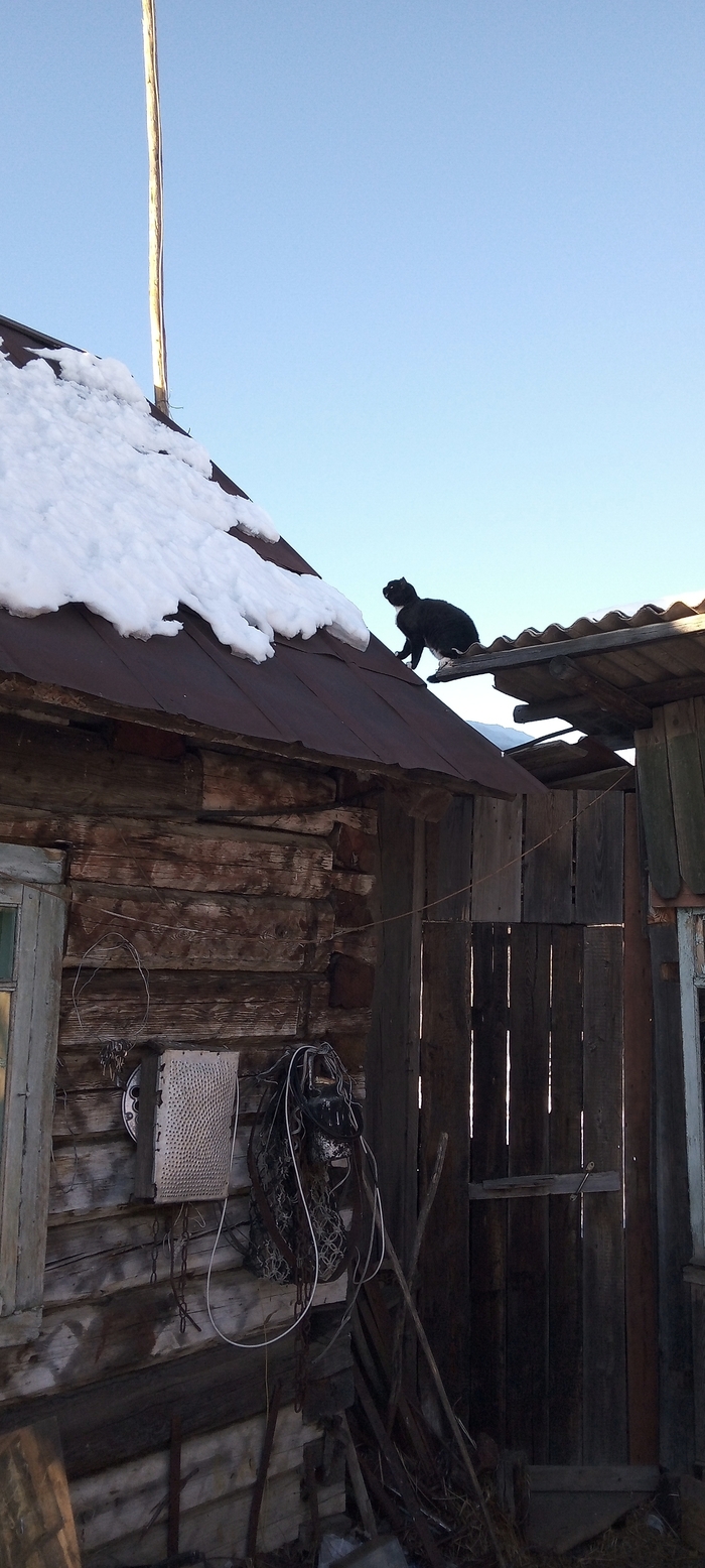 �������������🚶