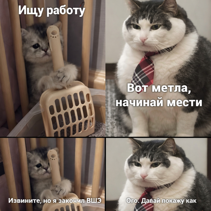 ����, ������� ��������� ���, �� ���� ������ �� ������?