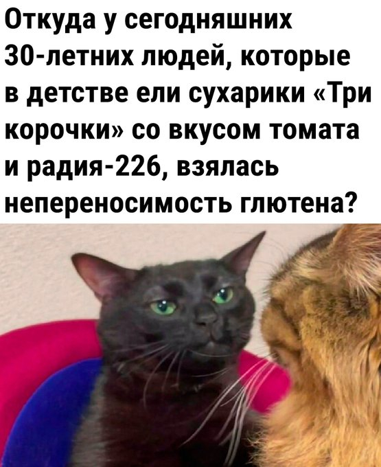 ������?!
