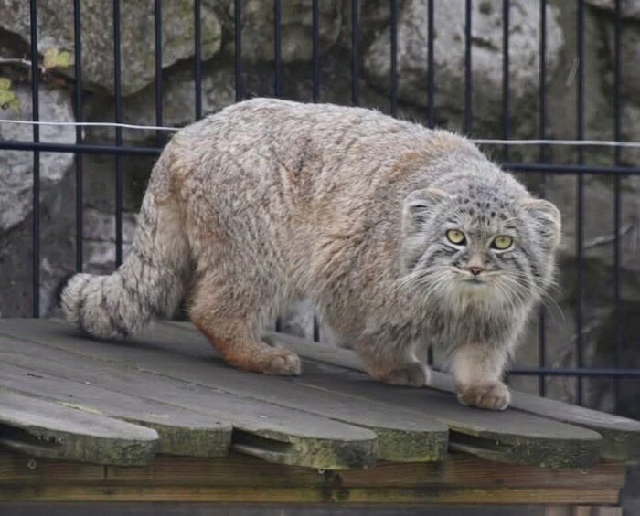 �������� ������