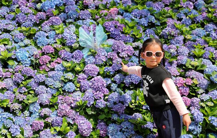 �������� ��������� � ������ ���������������� � ������ ����� ����� � ��������� �������//����: Sipa USA/����