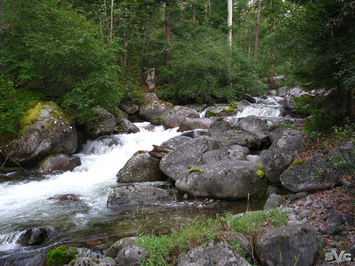 ���� ���-��������.