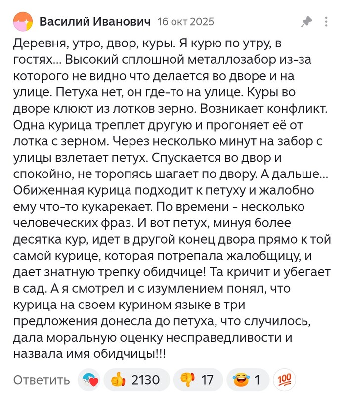 Про куриный интеллект
