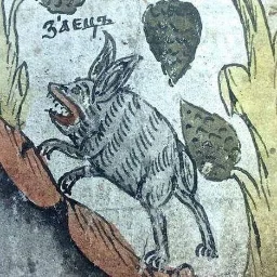 vladimirov.4