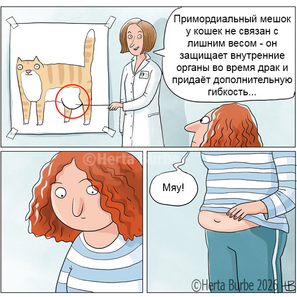 Это не жирок, это броня!