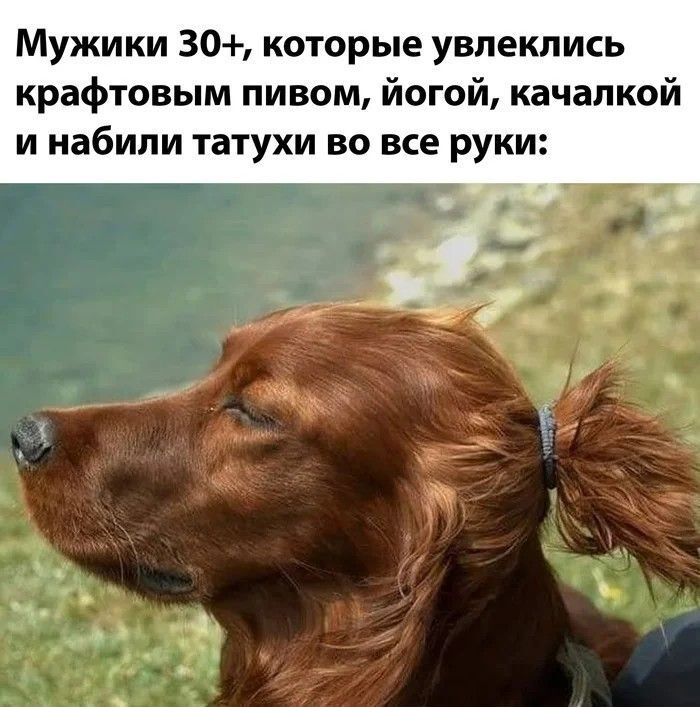 � ���� ���� ����� ����