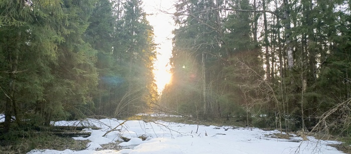 ������� ��� ����� ������