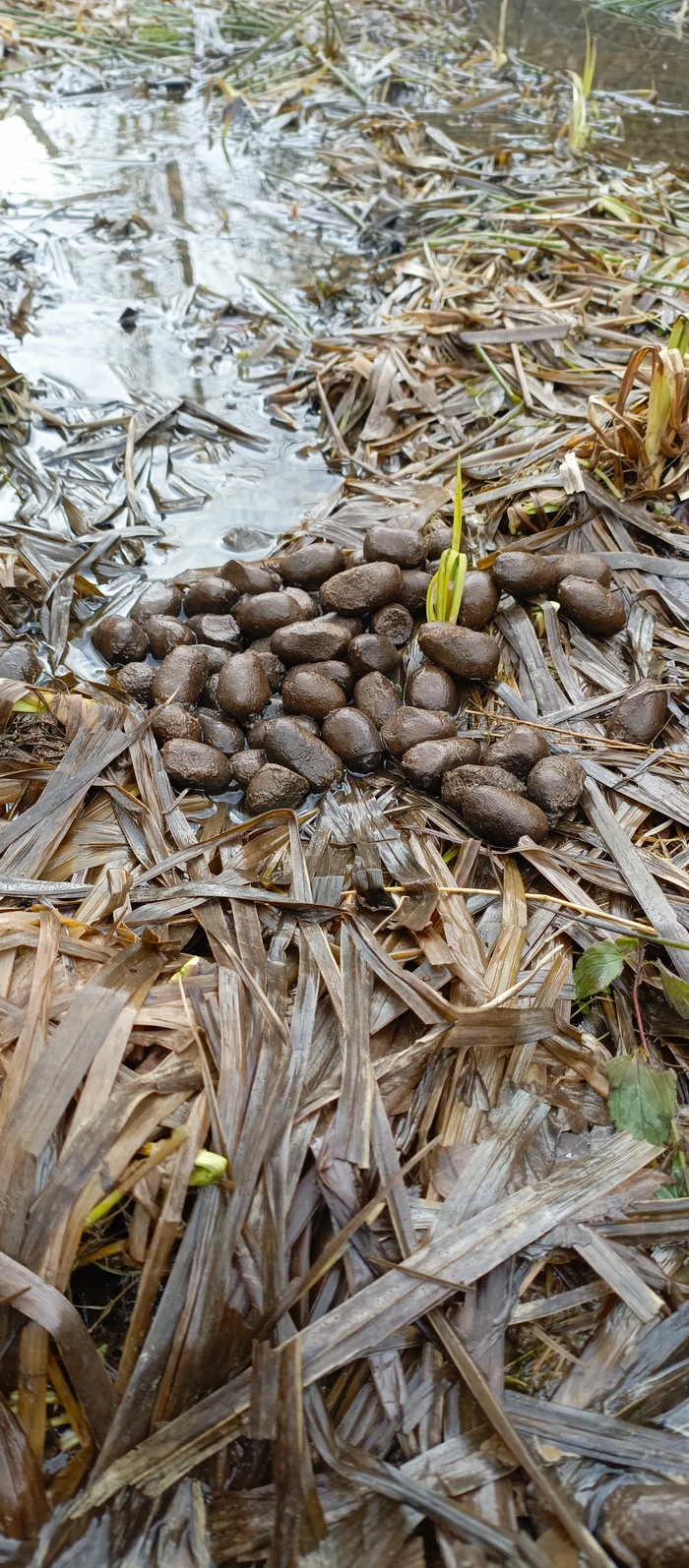 ����� �� �����������������, ����� �� ����������)