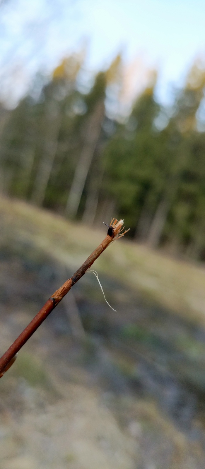 ��� ��� ������� �������.