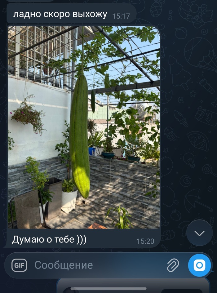 Комплимент от жены