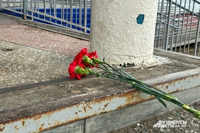 ����: ���/ ���� ��������