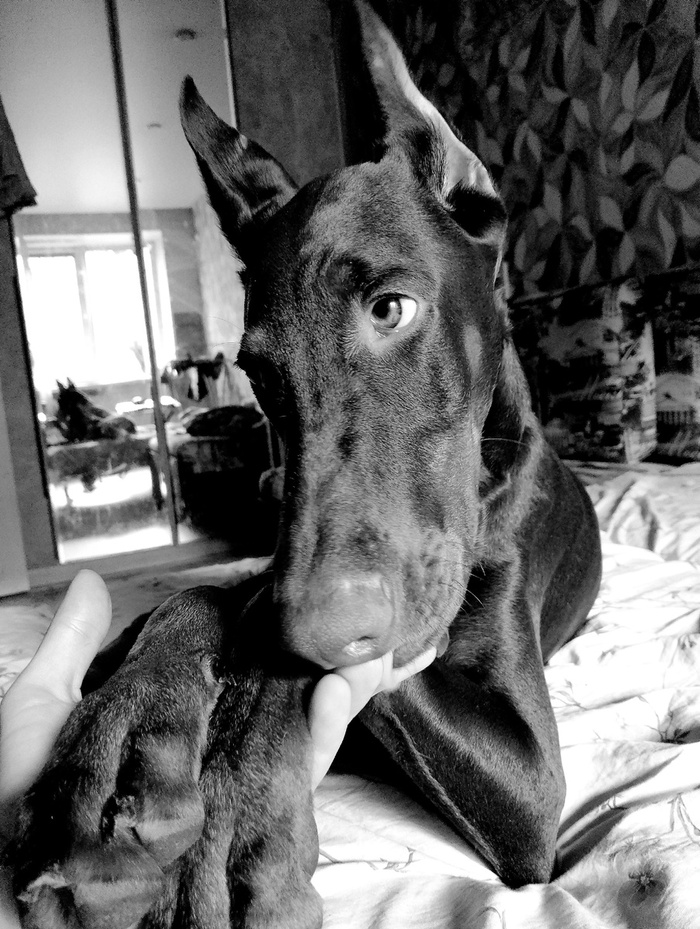 ���� 8-���.