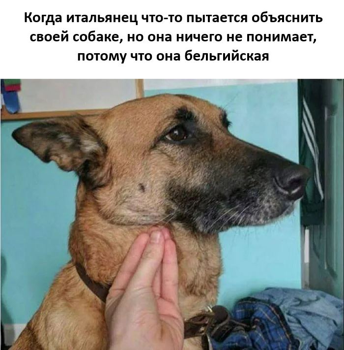 �������� ������