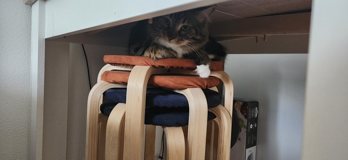 ���������� ������� #254