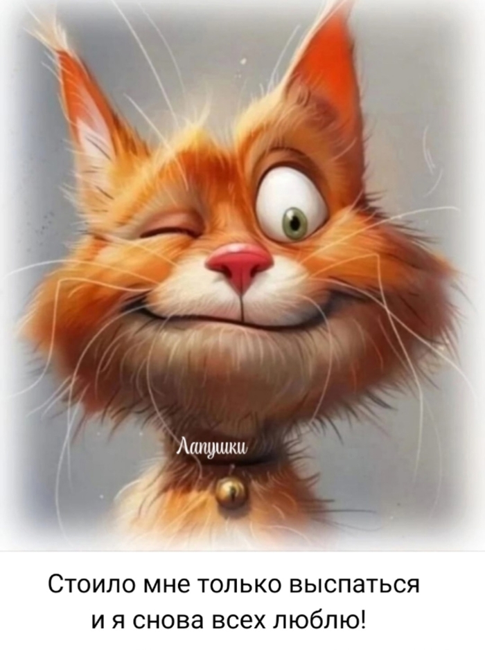 Спасибо за сон