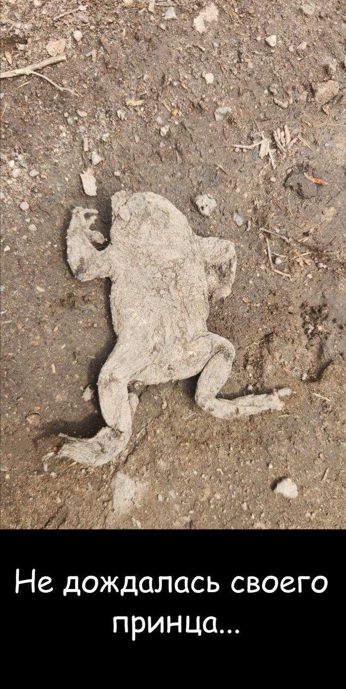 �� ��������� ������ ������...