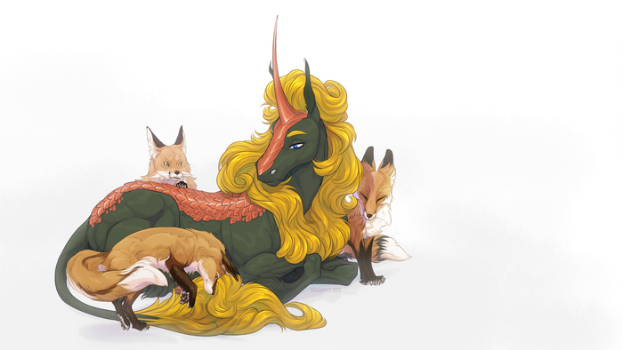 �� ���������� ��������, ������� ������ ���� � �� ��������