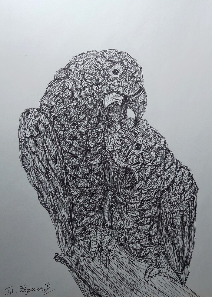 ����������� ���